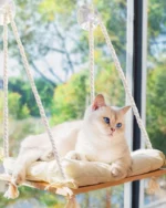 Cat Window Perch Rustic Cat Hammock Bed W Solid Wood Seat 4 Heavy Duty Suction
